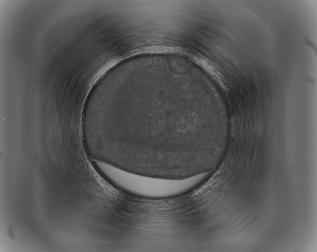 X0000096491229200802211230