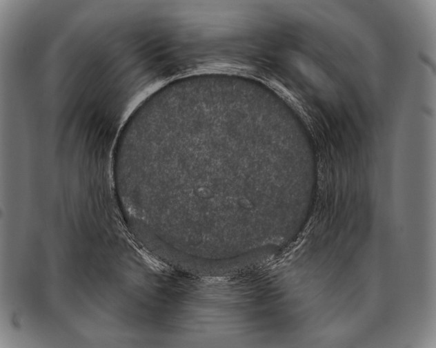 X0000096491230200802211230