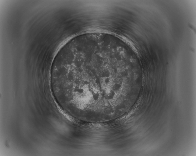 X0000096491231200802211230