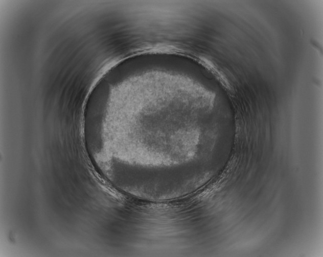 X0000096491232200802211230