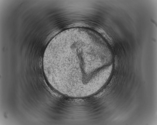 X0000096491233200802211230