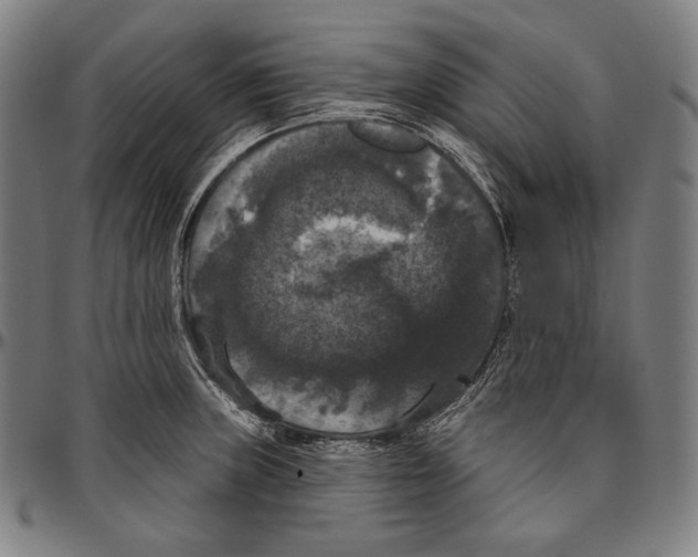 X0000096491235200802211230