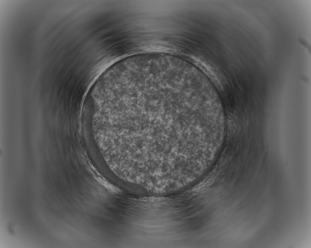 X0000096491236200802211230