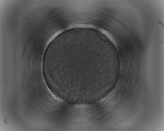 X0000096491237200802211230