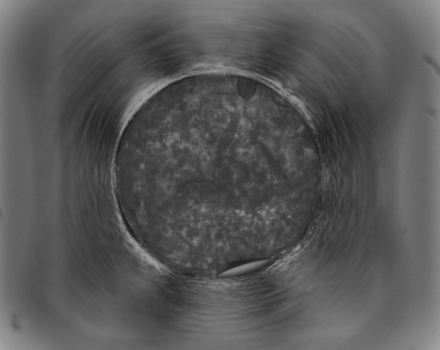 X0000096491239200802211230