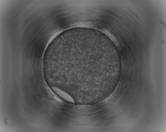 X0000096491240200802211230