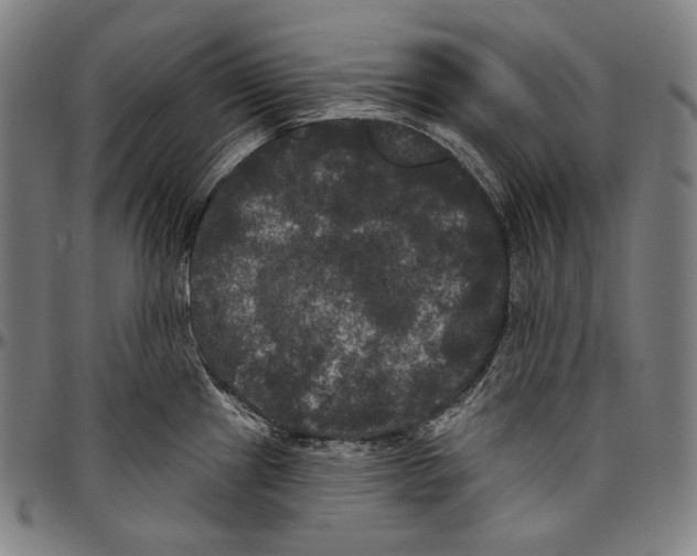 X0000096491241200802211230