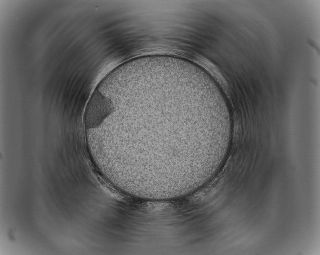 X0000096491242200802211230