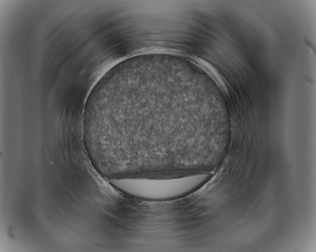 X0000096491244200802211230