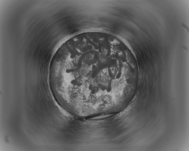 X0000096491245200802211230