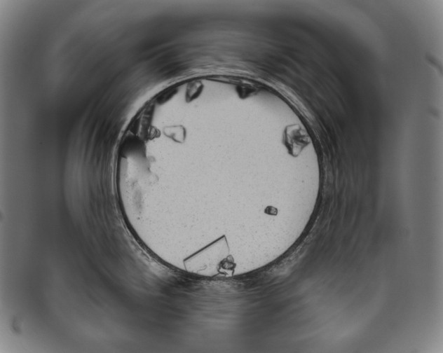 X0000096491246200802211230