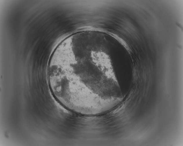 X0000096491247200802211230