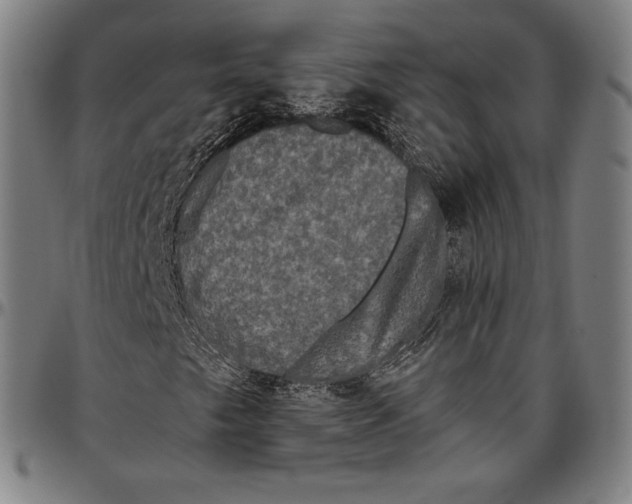 X0000096491249200802211229