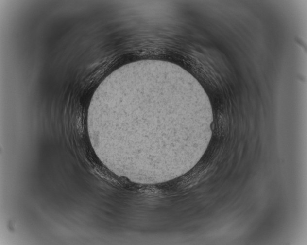 X0000096491250200802211229