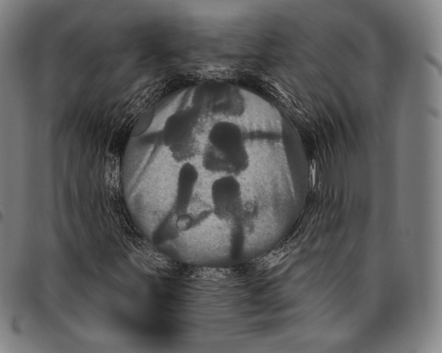 X0000096491251200802211229