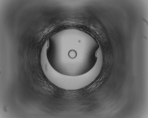 X0000096491253200802211229