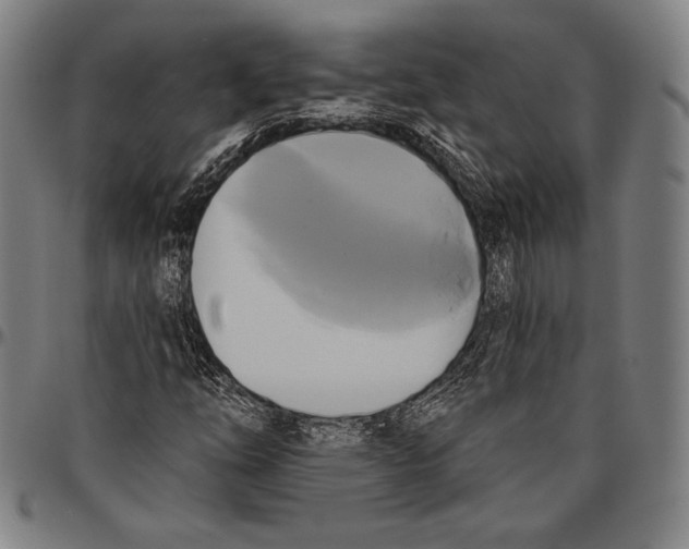 X0000096491254200802211229