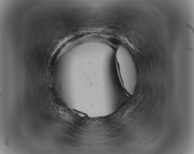 X0000096491256200802211229