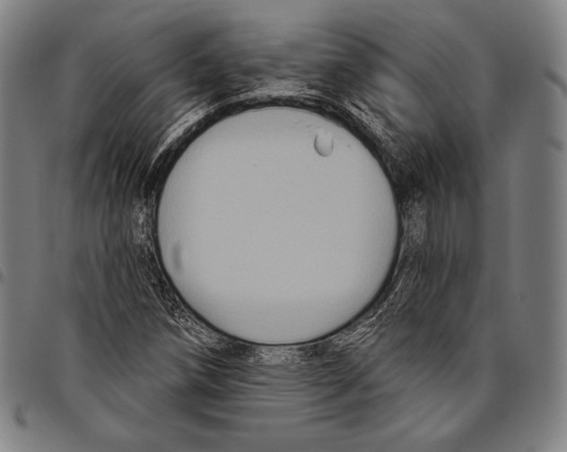 X0000096491258200802211229