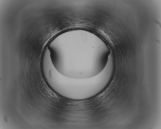 X0000096491260200802211229