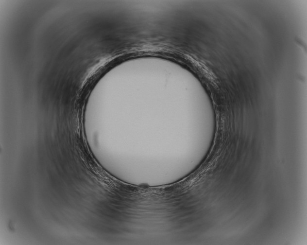 X0000096491262200802211229