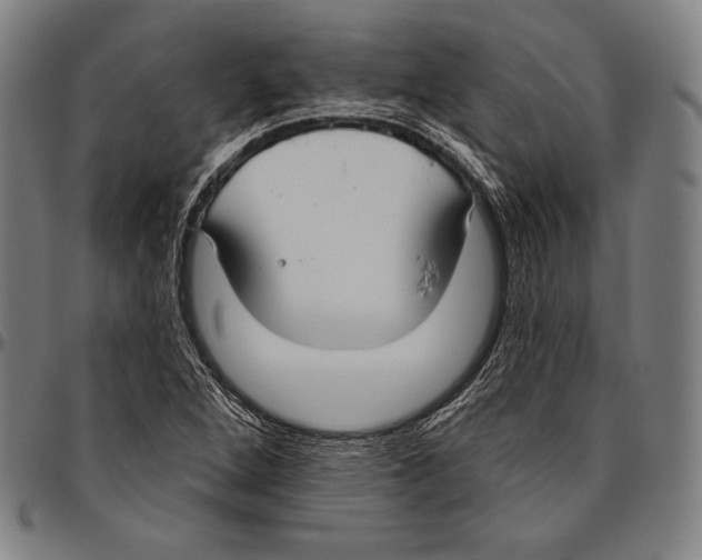 X0000096491264200802211229