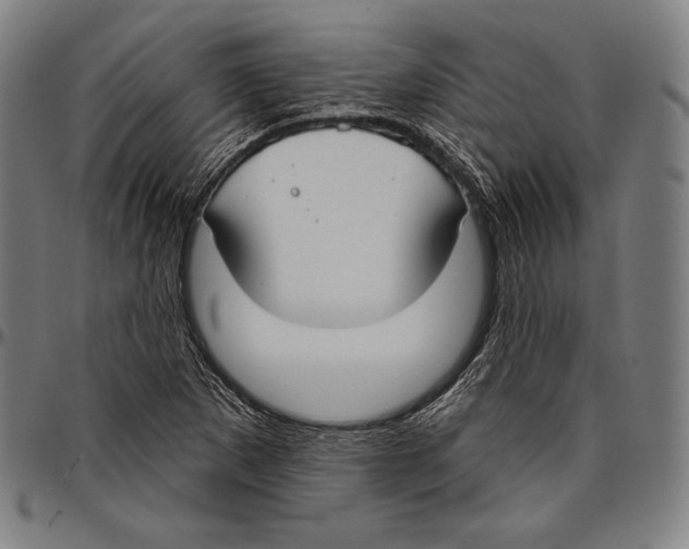 X0000096491265200802211229