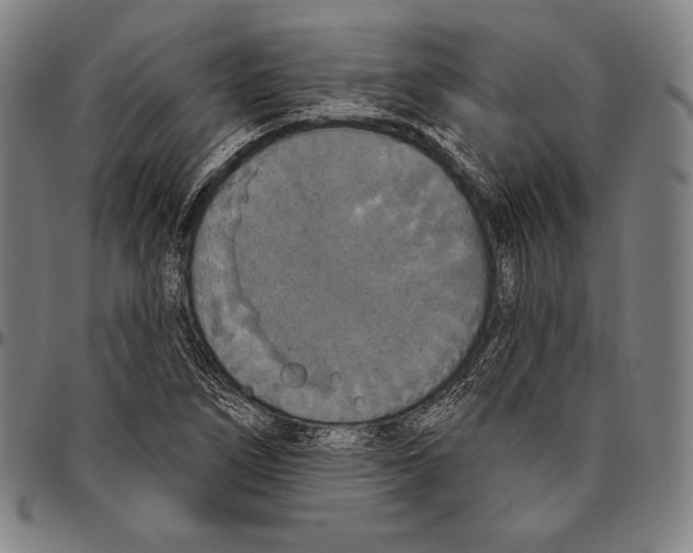 X0000096491266200802211229