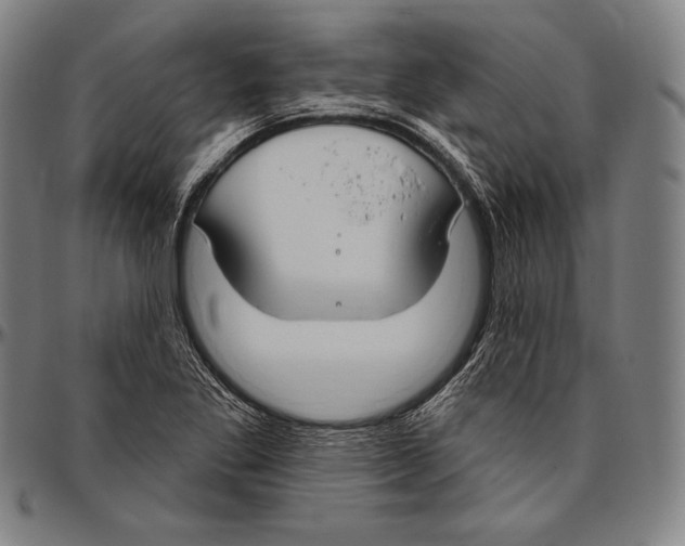 X0000096491269200802211229