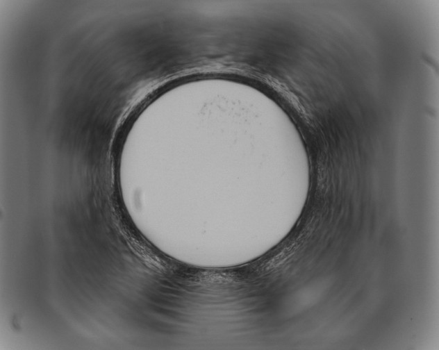 X0000096491270200802211229