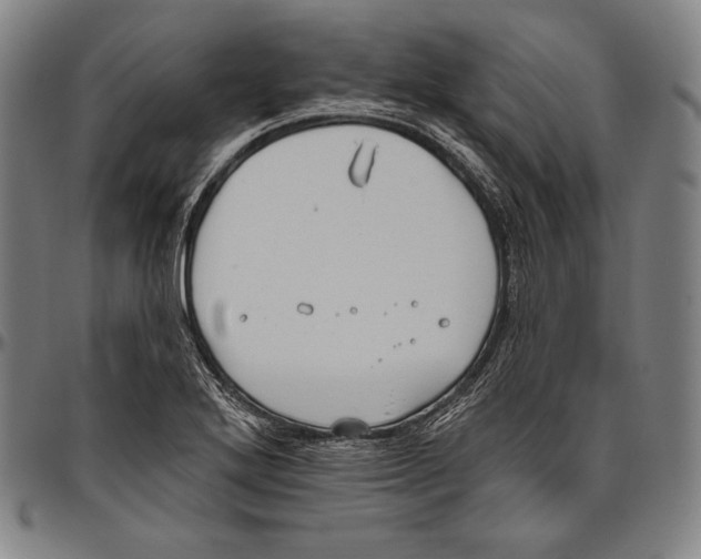 X0000096491272200802211229