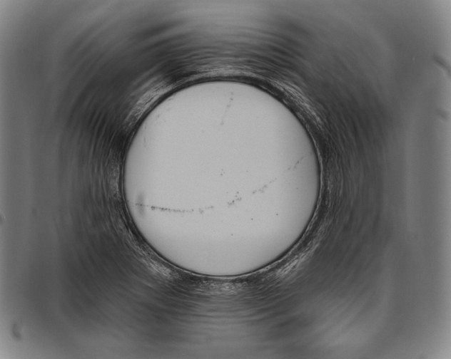 X0000096491273200802211229