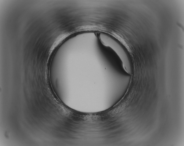 X0000096491277200802211229