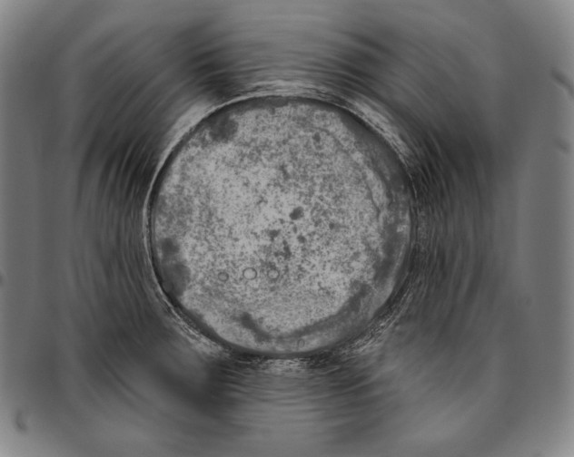 X0000096491283200802211229