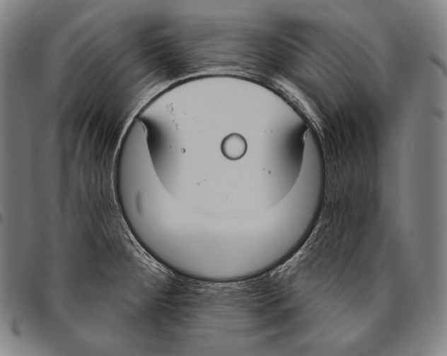 X0000096491284200802211229