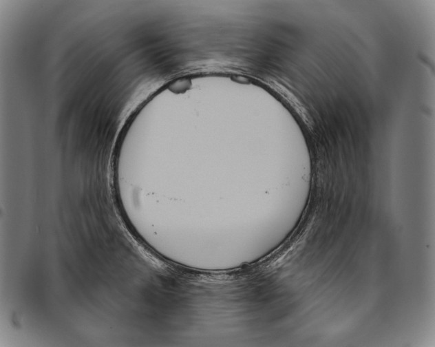 X0000096491285200802211229