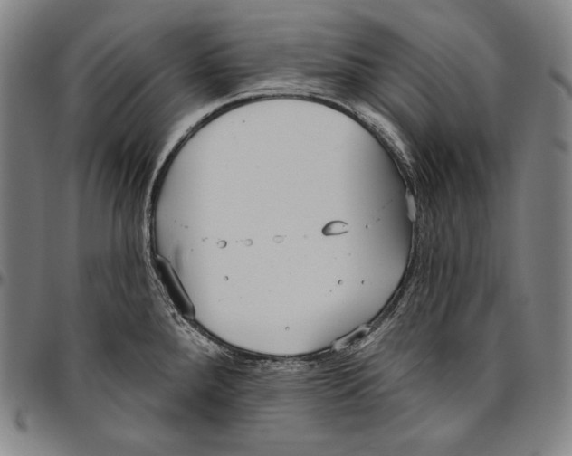 X0000096491288200802211229