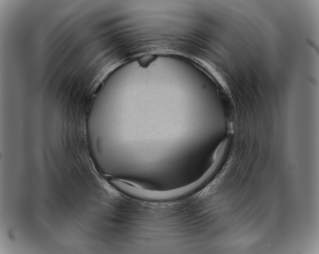 X0000096491289200802211229