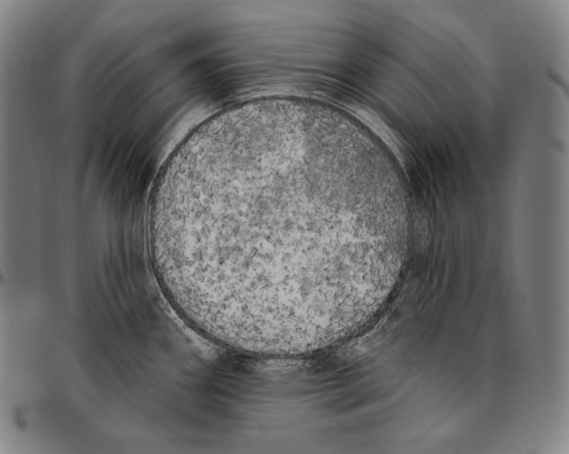 X0000096491290200802211229