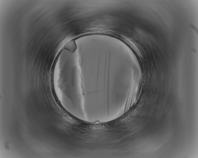 X0000096491291200802211229