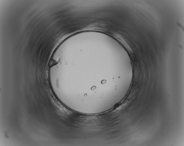 X0000096491292200802211229