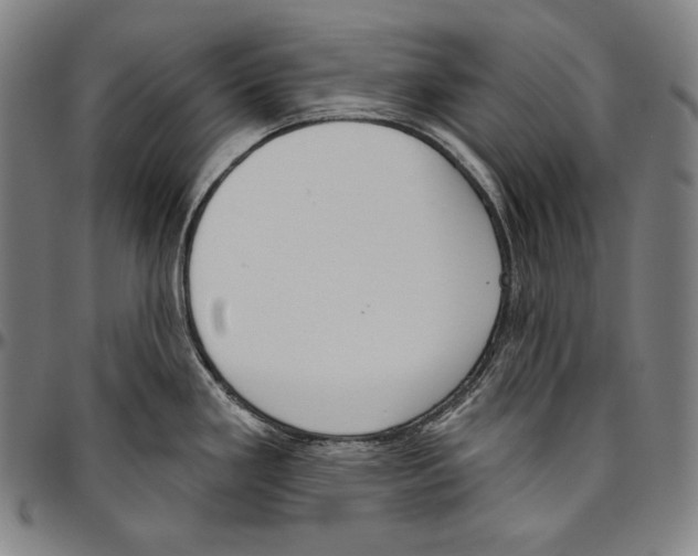 X0000096491293200802211229