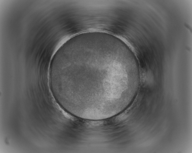 X0000096491294200802211229