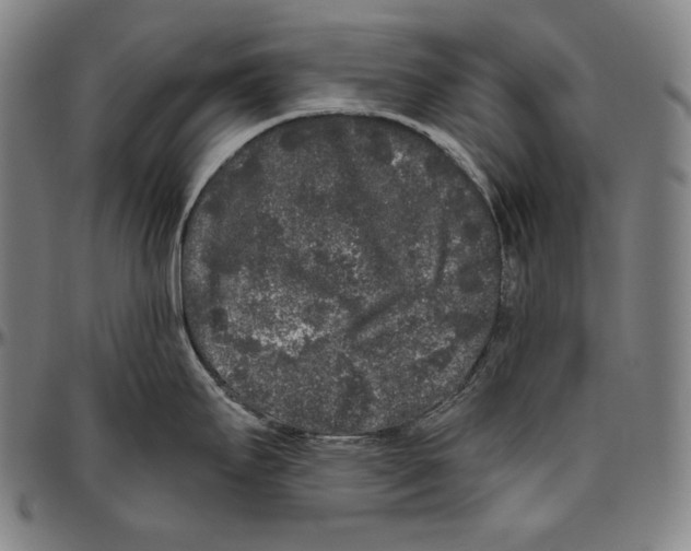 X0000096491295200802211229