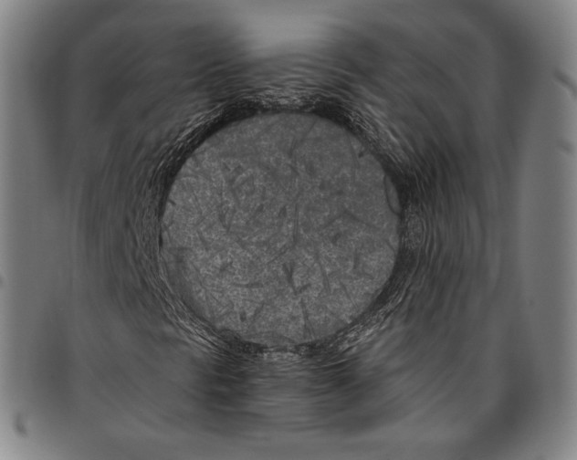 X0000096491297200802211228