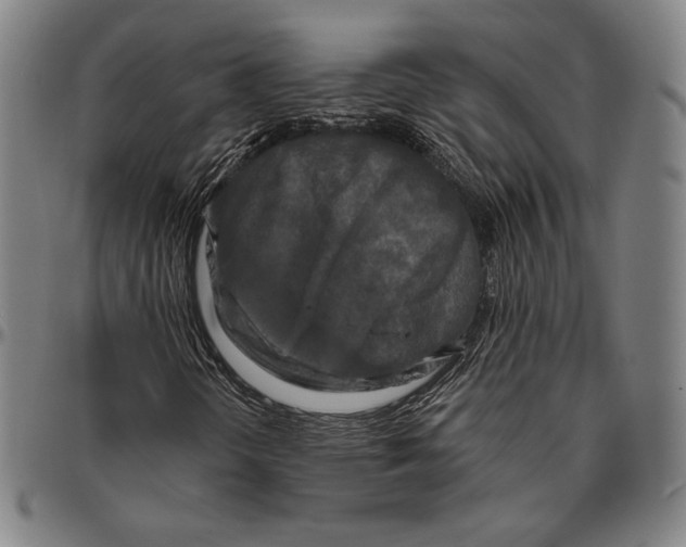 X0000096491298200802211228