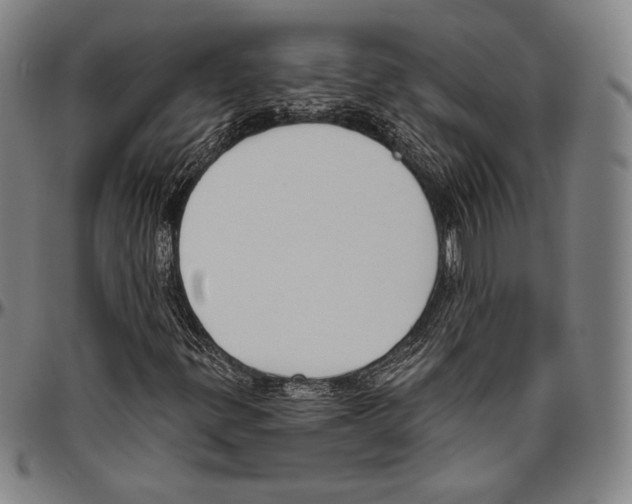 X0000096491299200802211228