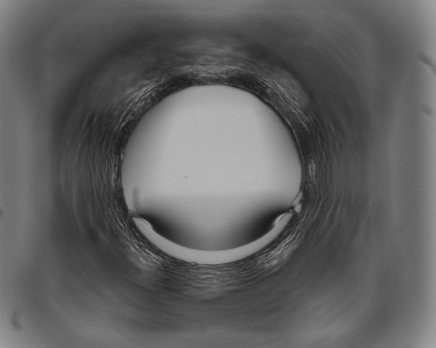 X0000096491300200802211228