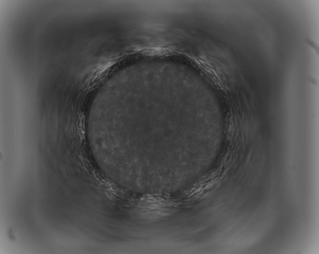 X0000096491301200802211228