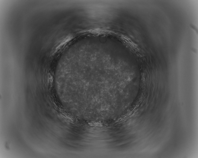 X0000096491302200802211228